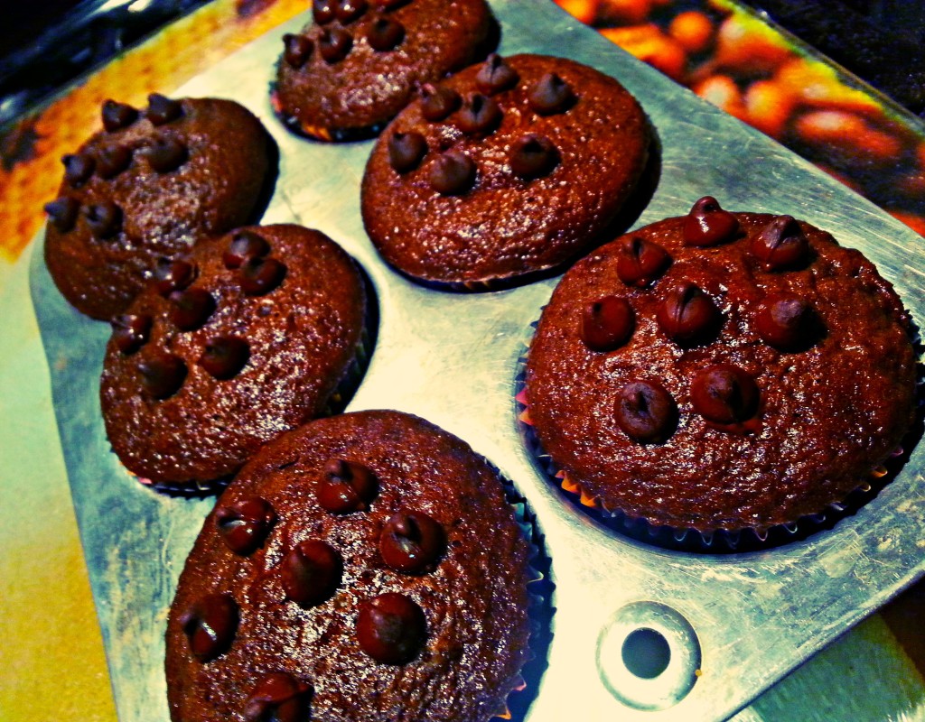 Double Chocolate Chip Muffins Recipe