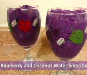 Blueberry and Coconut Water Smoothie