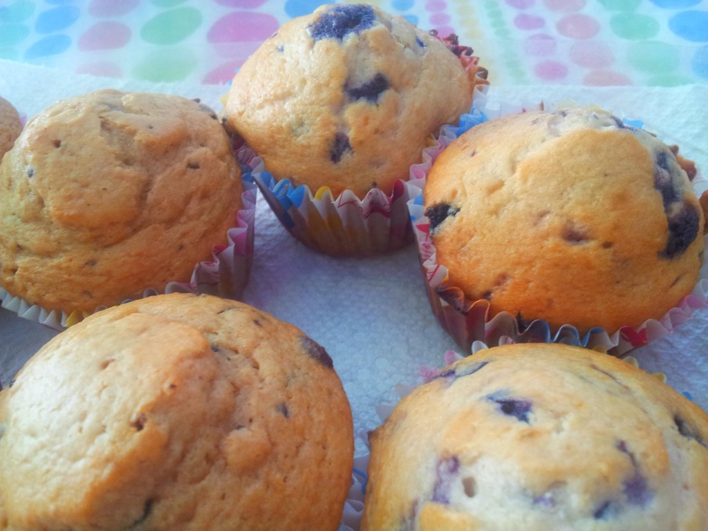 Blueberry Cupcake  Recipe