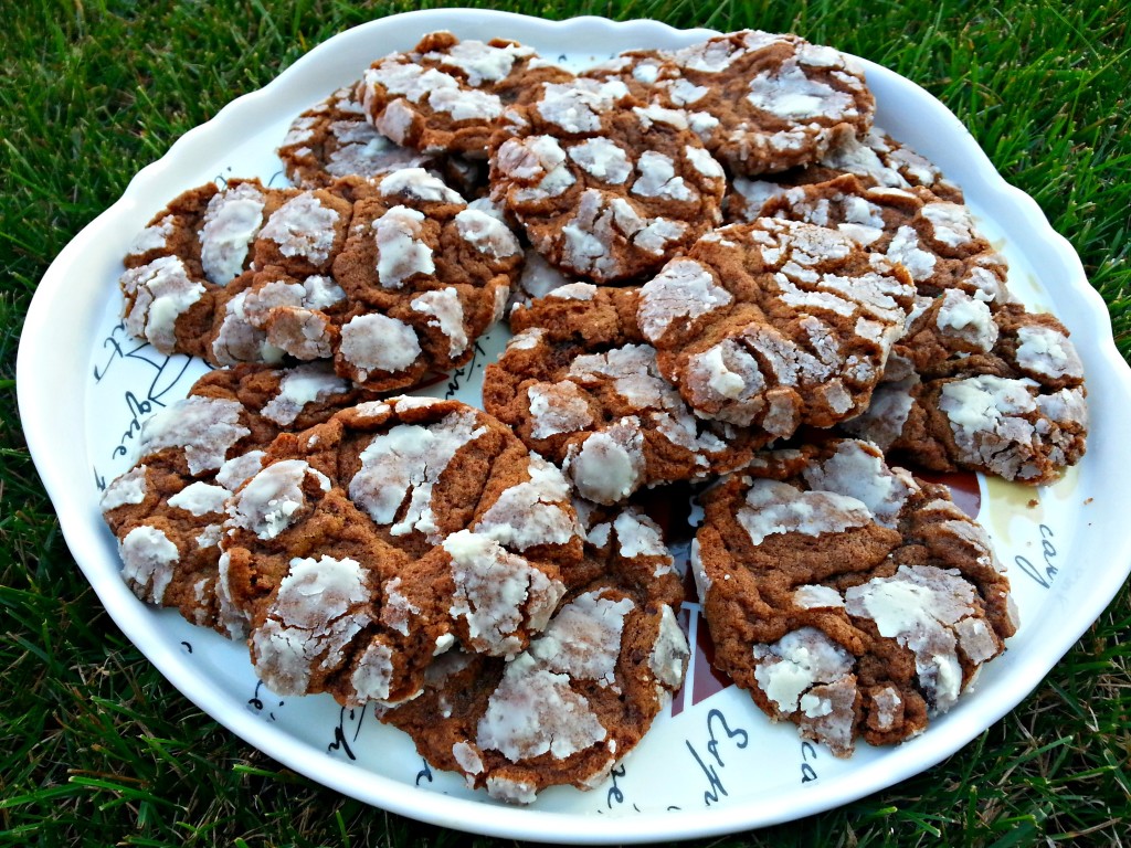 Nutella Crinkle Cookies Recipe